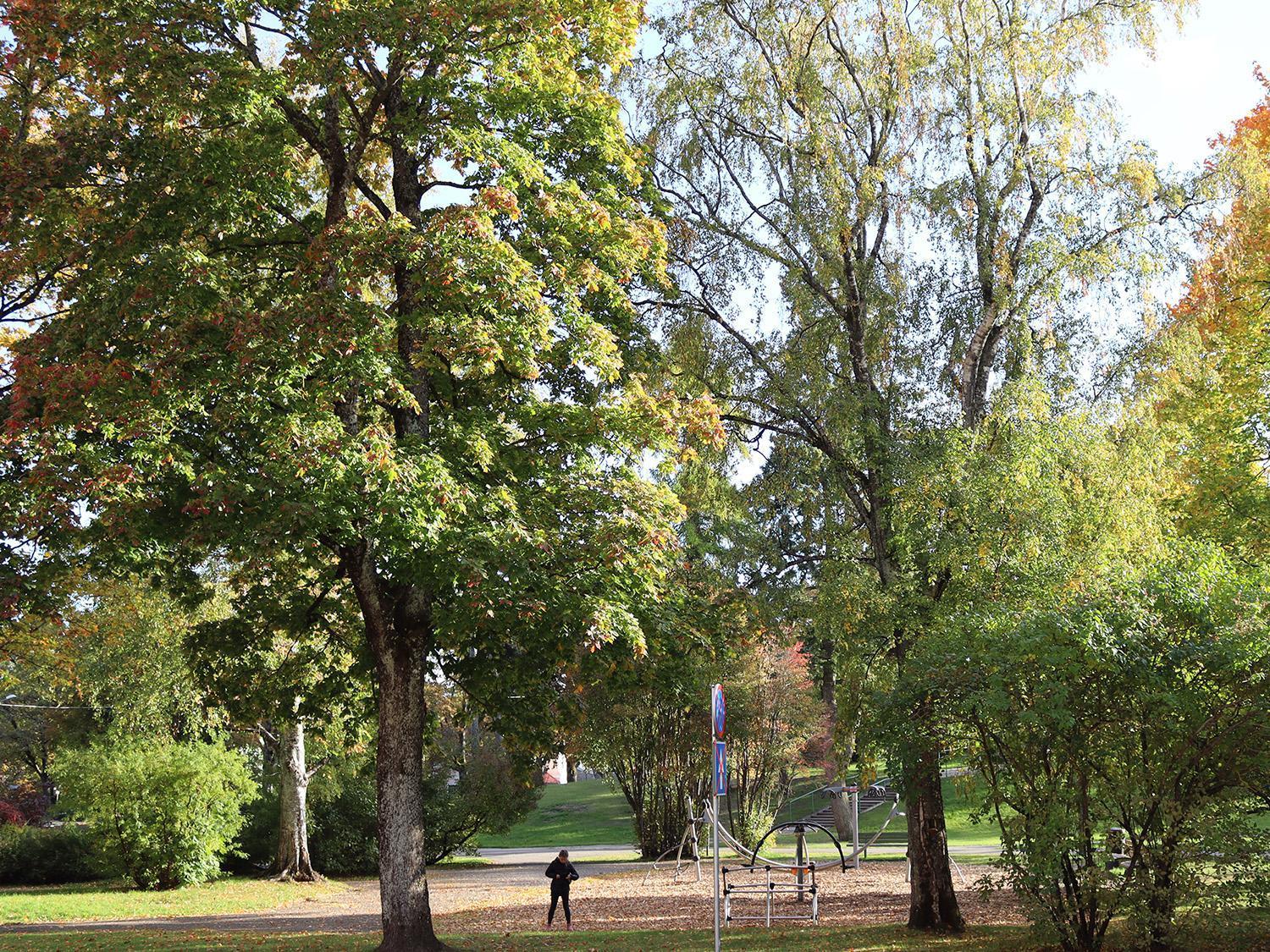 Hostel Louna Parnawa Zewnętrze zdjęcie